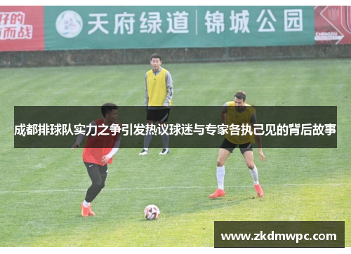 成都排球队实力之争引发热议球迷与专家各执己见的背后故事